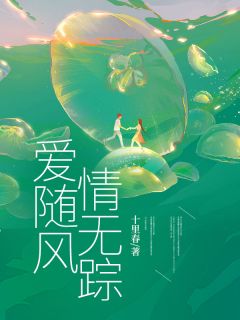 爱随风,情无踪免费阅读 宋佳怡沈安屿的小说在线阅读