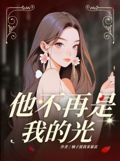 《他不再是我的光》小说章节列表在线试读 路清澄陆嘉树小说全文