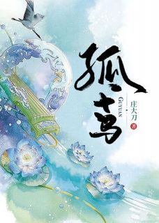 孤鸢全章节免费在线阅读 乔鸢飞赵渊完结版