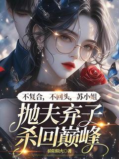 不复合,不回头,苏小姐抛夫弃子杀回巅峰苏暖檀辞精彩章节在线阅读