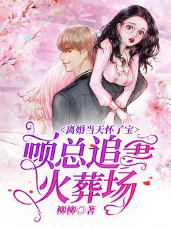 《离婚当天怀了宝，顾总追妻火葬场》精彩章节列表在线试读 叶倾城顾逸宸小说