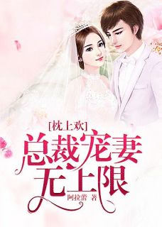 枕上欢：总裁宠妻无上限叶以念陆宸 枕上欢：总裁宠妻无上限全文阅读