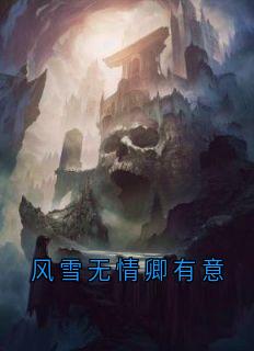 《风雪无情卿有意》小说免费阅读 白浅玄溟小说大结局在线阅读