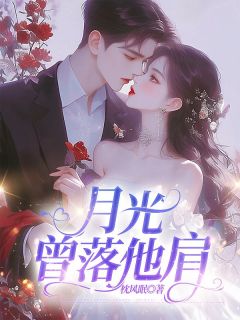 《月光曾落他肩》小说大结局精彩试读 宋晚凝纪延澈小说全文