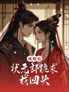 成婚后,状元郎跪求我回头