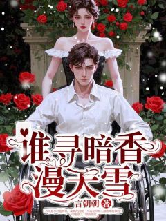 《谁寻暗香漫天雪》小说完结版免费阅读 祝明衍沈离韵小说全文