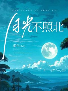 《月光不照北》小说完结版在线试读 裴照北林画小说全文