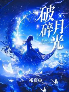 《破碎月光》小说章节在线阅读 苏岁岁陆知礼小说全文