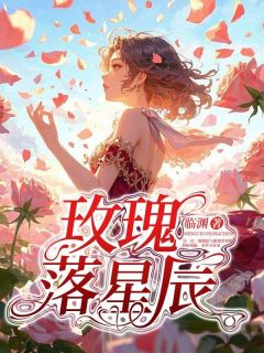 玫瑰落星辰主角林亦玫陆北辰全文精彩内容在线试读