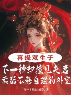 喜提双生子,下一秒却撞见夫君柔弱不能自理的外室