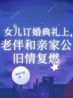 顾晓悦顾书亭许淮阅读_顾晓悦顾书亭许淮《女儿订婚典礼上,老伴和亲家公旧情复燃》