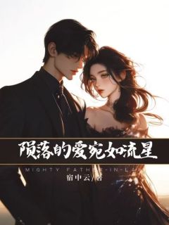 坠落的爱,宛如流星