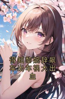 得知黎婉辞飙车出车祸大出血最新章节免费阅读（完整版未删节）