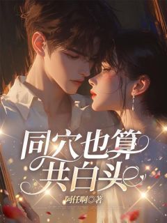 同穴也算共白头全集免费在线阅读(沈晚宁季则深)