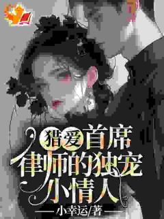 追爱蜜恋:大律师的惹火宝贝