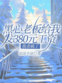 黑心老板给我发380元工资,我杀疯了陈晨老板小说精彩内容免费试读