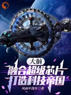 科技:以身助国,打造高级芯片主角杨宇科杨龙小说完整版全文在线阅读