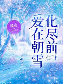 爱在朝雪化尽前免费阅读 陆昭雪沈宗远在线阅读
