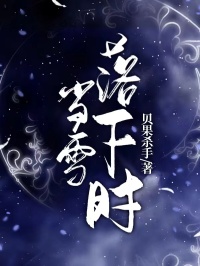 当雪落下时完整版全文阅读 宁宁段秉谦顾知微小说 大结局