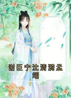 谢臣宁沈清漪孟翊