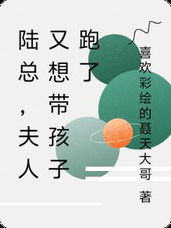 陆总，夫人又想带孩子跑了