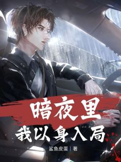 暗夜里我以身入局by韩枫关云霆完整版 韩枫关云霆小说全集在线阅读