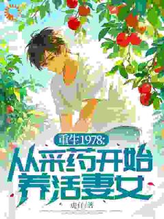 重生1978：从采药开始养活妻女