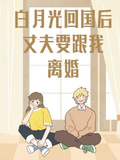 白月光回国后,丈夫要跟我离婚张小婉沈恒 白月光回国后,丈夫要跟我离婚小说免费阅读