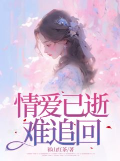 情爱已逝,难追回免费试读 许浅沈宴清是什么小说