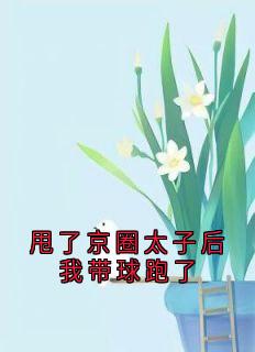 甩了京圈太子后我带球跑了