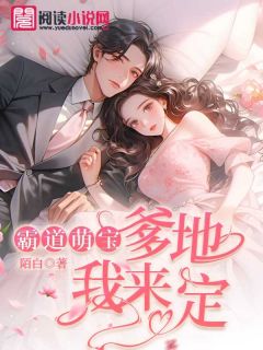 霸道萌宝：爹地我来定林蔓笙顾西辞小说 霸道萌宝：爹地我来定小说章节