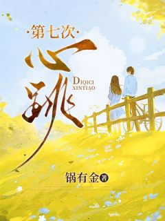 《第七次心跳》小说章节目录精彩阅读 叶晓兰林建礼小说全文