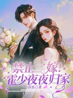 禁止二嫁!霍少夜夜归家