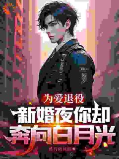 为爱退役,新婚夜你却奔向白月光小说精彩章节免费试读(主角苏瑾陆战)