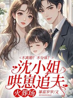 沈小姐发癫后，舔狗饭碗踹翻了沈念安霍瑾川全文免费试读