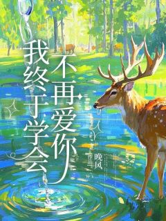 我终于学会不再爱你孟婉顾城小说全本免费试读