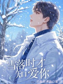 《雪落时才知爱你》全文阅读 贺书寒宁棠小说章节目录