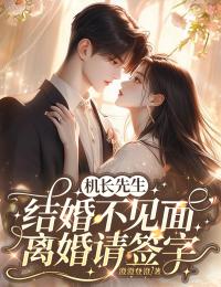 机长先生,结婚不见面,离婚请签字