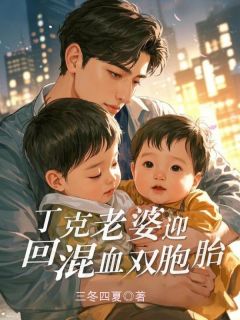 丁克老婆迎回混血双胞胎