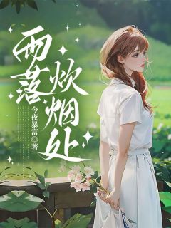 《雨落炊烟处》(柠月星染顾承昀)小说阅读by今夜暴富