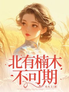 北有楠木不可期