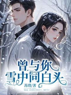 《曾与你雪中同白头》小说全文精彩试读 洛芳菲沈以燃小说全文