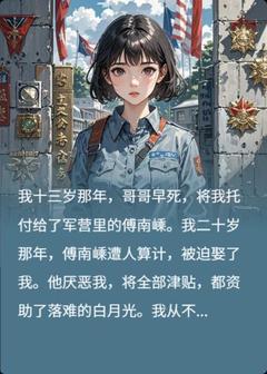 《七九年,我独自南下去见军嫂》小说完结版免费试读 唐禾傅南嵊小说阅读
