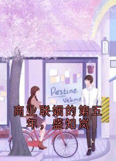 商业联姻的第五年,盛知岚