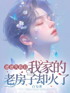 爸爸失踪后,我家的老房子却火了小张刘队小说全文阅读