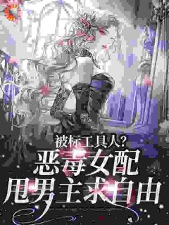 被标工具人?恶毒女配甩男主求自由宋以宁许继琛小说大结局免费试读