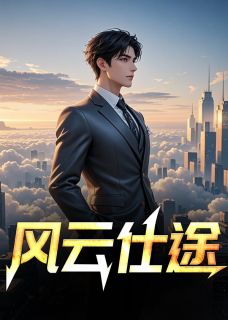 风云仕途