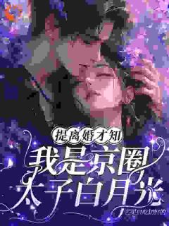 提离婚才知,我是京圈太子白月光宁穗季晏辞小说大结局免费试读