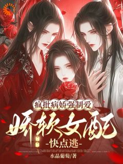 《以我血入药?我一拳捶扁你》林宝婳耶律华烨全文阅读