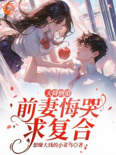 天降倒追,前妻悔哭求复合